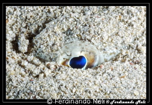 Eye into the sand by Ferdinando Meli 